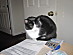 View full size picture