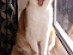 View full size picture