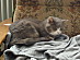 View full size picture