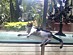 View full size picture