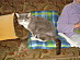 View full size picture