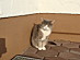 View full size picture