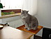View full size picture