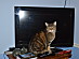 View full size picture