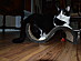 View full size picture