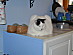View full size picture