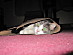 View full size picture