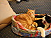 View full size picture