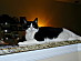 View full size picture