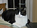 View full size picture