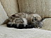View full size picture