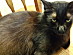 View full size picture