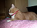 View full size picture