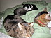 View full size picture