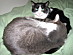 View full size picture