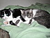 View full size picture