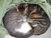 View full size picture