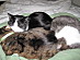 View full size picture