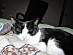 View full size picture