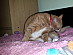 View full size picture