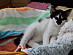 View full size picture