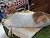 View full size picture