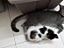 View full size picture