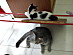 View full size picture