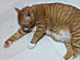 View full size picture