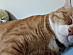 View full size picture