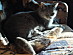 View full size picture