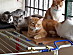 View full size picture
