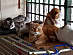 View full size picture