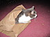 View full size picture