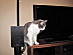 View full size picture