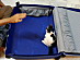 View full size picture