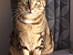 View full size picture