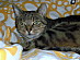 View full size picture