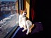 View full size picture