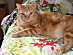 View full size picture