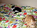 View full size picture