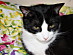 View full size picture