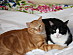 View full size picture