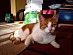 View full size picture