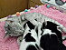 View full size picture