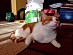 View full size picture