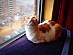 View full size picture