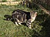 View full size picture