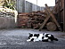 View full size picture