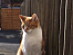 View full size picture